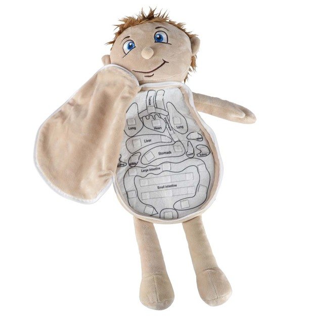 Anatomijos besimokantis berniukas su talismanu 5