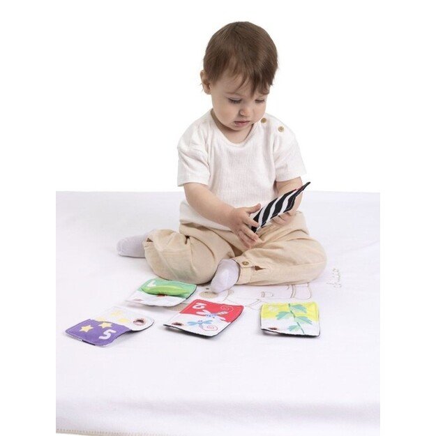 184668 CONTRAST SENSORY CARDS