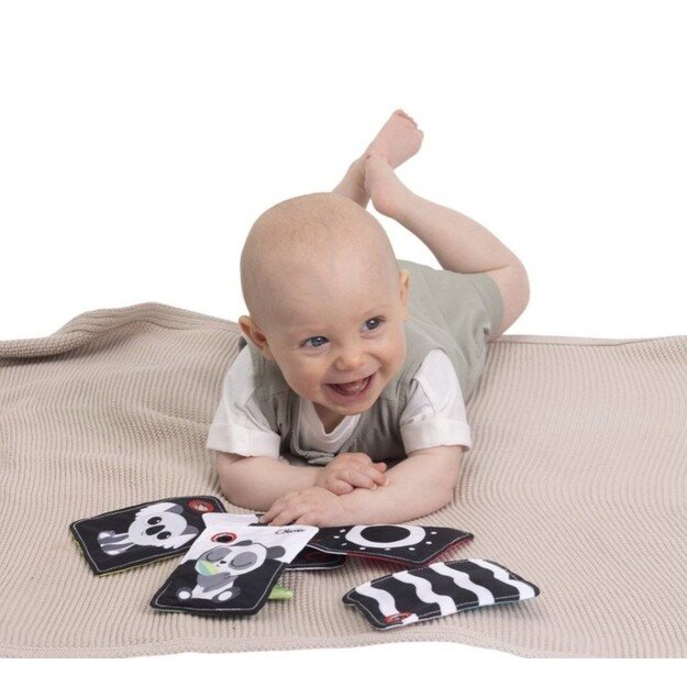 184668 CONTRAST SENSORY CARDS