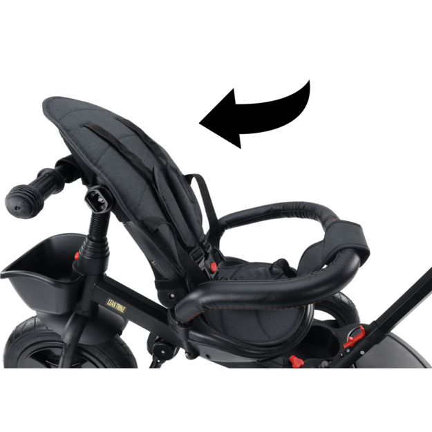 PRO550 Tricycle Bike Black 9