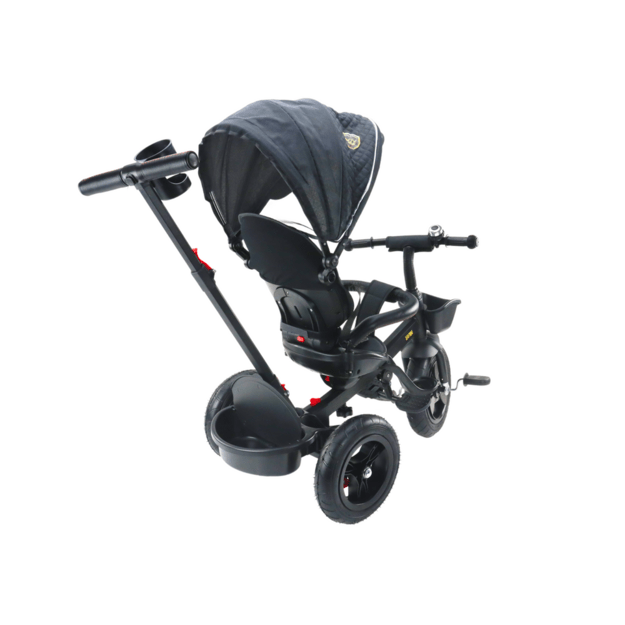PRO550 Tricycle Bike Black 2