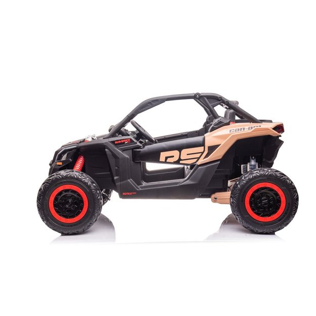 Automatinis akumuliatorius Buggy DK-CA001 Can-am RS 15
