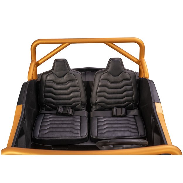 Arctic Cat WILDCAT XX 24V14AH Gold Buggy Battery Vehicle 7