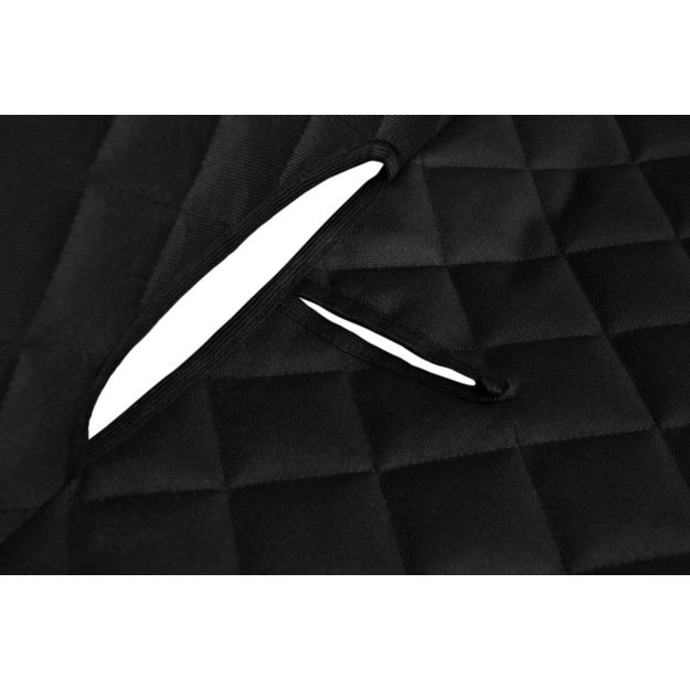 DYGSNIUOTAS AUTOMOBILIO APSAUGOS KILIMĖLIS 1