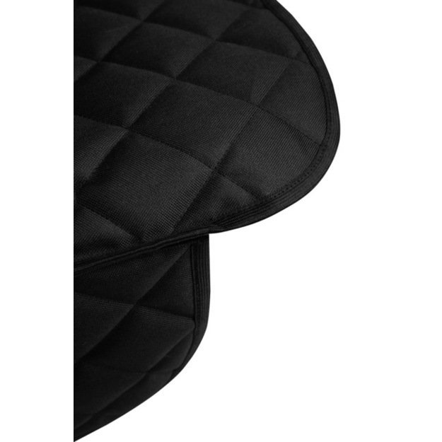 DYGSNIUOTAS AUTOMOBILIO APSAUGOS KILIMĖLIS 3