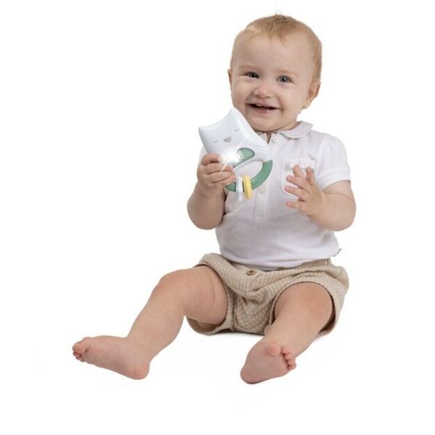 170869 PELĖDOS APŠVIETIMO BARŠKUTIS 4