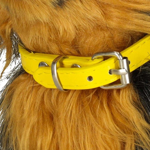 Interaktyvus šuo reaguoja į prisilietimus, judesius, pasivaikščiojimus, lojimą, lojimą York 9