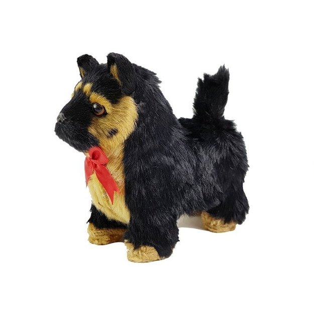 Interaktyvus vokiečių aviganis juda, loja 2