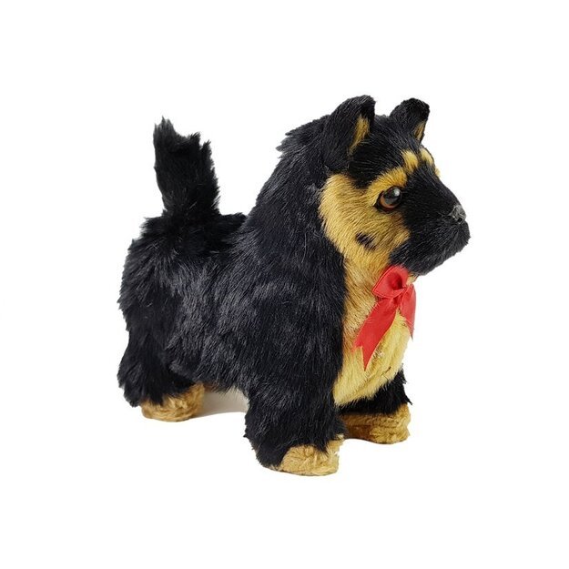 Interaktyvus vokiečių aviganis juda, loja