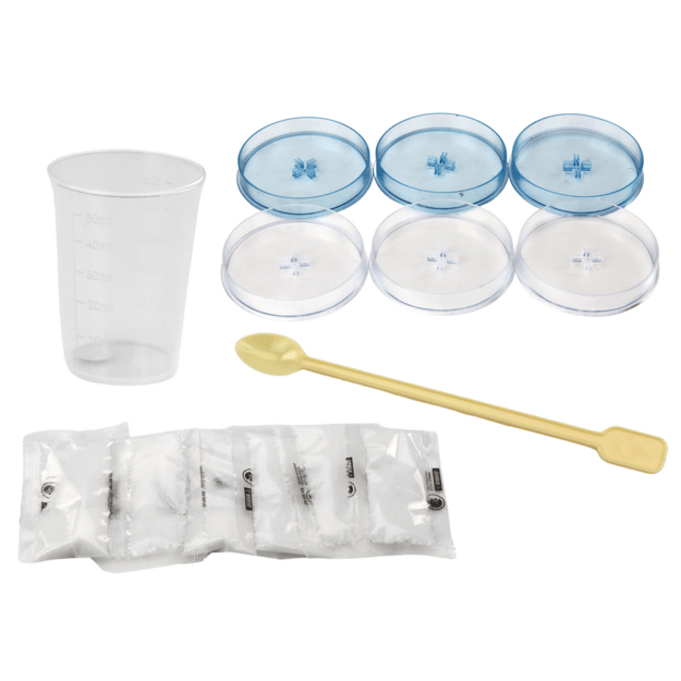 Creative Educational Kit for Growing Crystal Trees 2