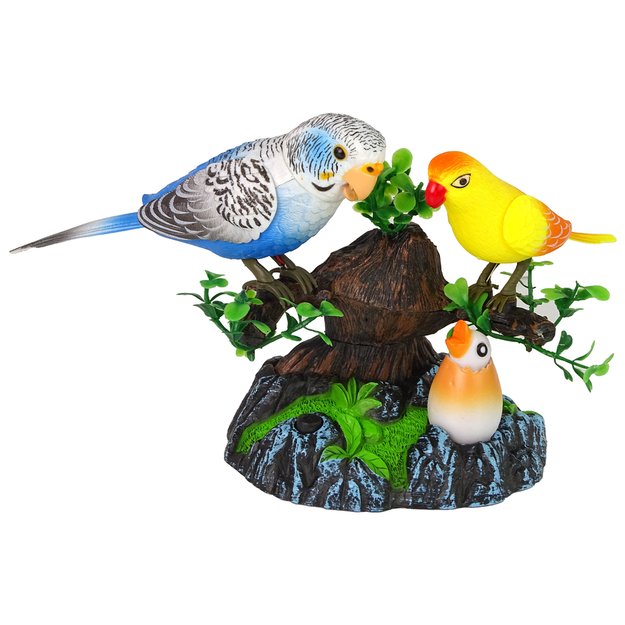 Singing moving parakeets Colorful tree