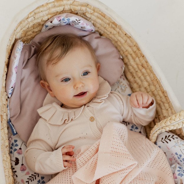 STROLLER SET VELVET TWIGS PINK