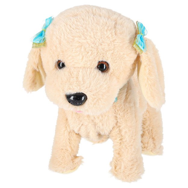 Interaktyvus šuo su pavadėliu barasi vaikšto vizgina uodegą vizgina pudelis 4