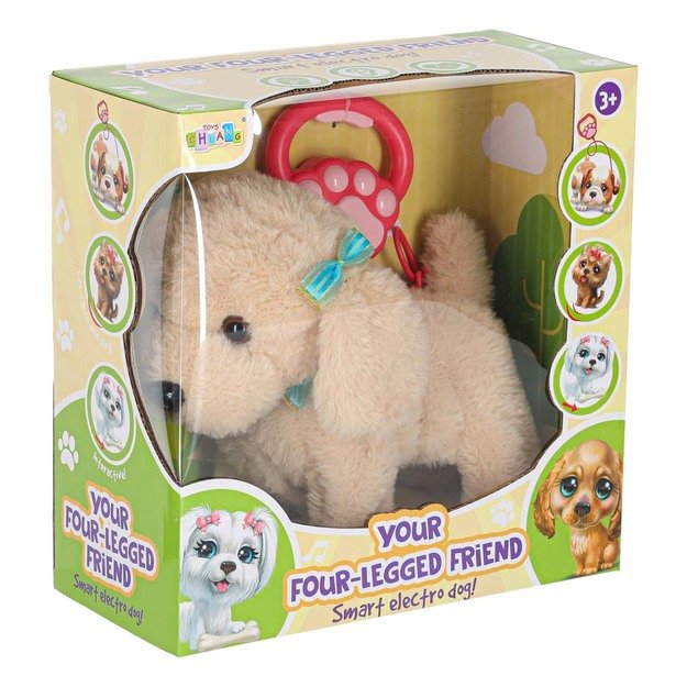 Interaktyvus šuo su pavadėliu barasi vaikšto vizgina uodegą vizgina pudelis 10