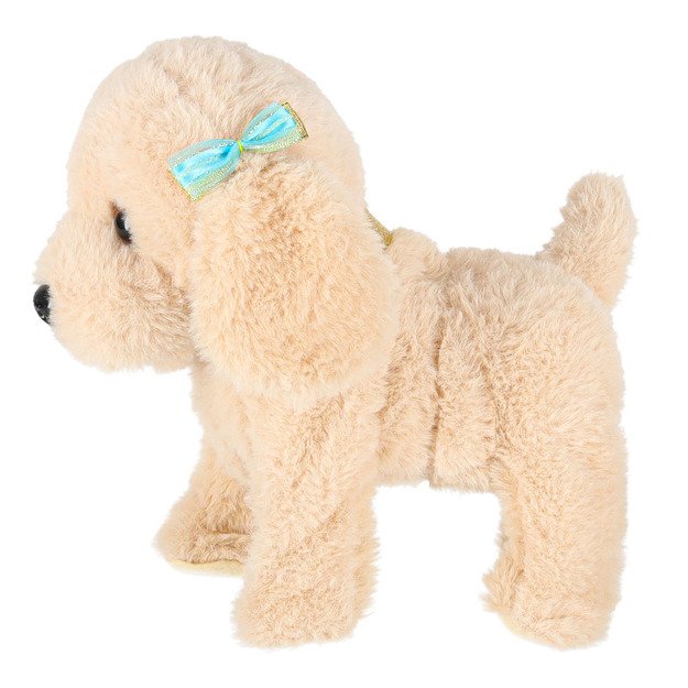 Interaktyvus šuo su pavadėliu barasi vaikšto vizgina uodegą vizgina pudelis 5