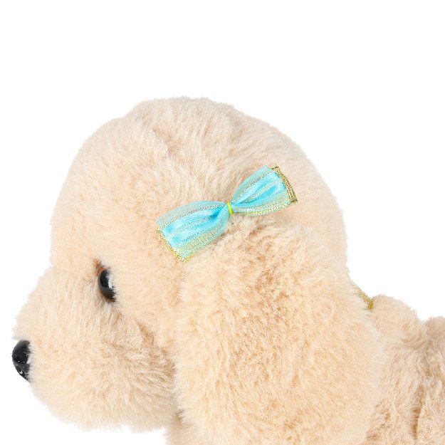 Interaktyvus šuo su pavadėliu barasi vaikšto vizgina uodegą vizgina pudelis 6