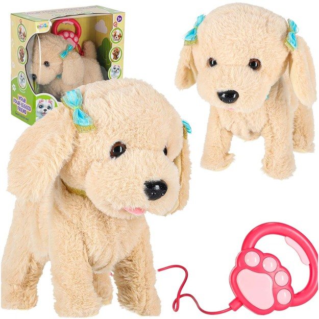 Interaktyvus šuo su pavadėliu barasi vaikšto vizgina uodegą vizgina pudelis 11