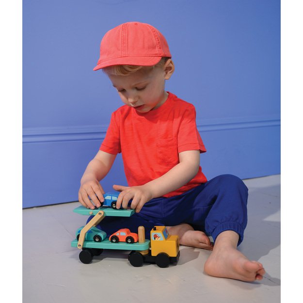 Mentari Autovežis 6