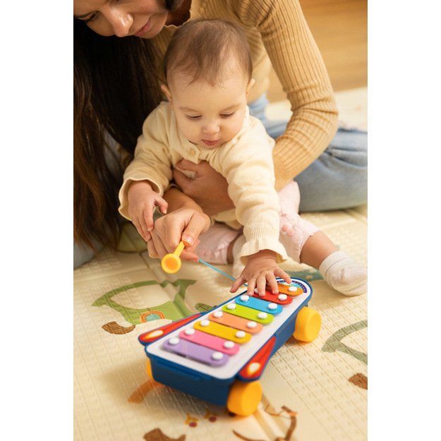 EDUCATIONAL TOY - RAINBOW CYMBALS