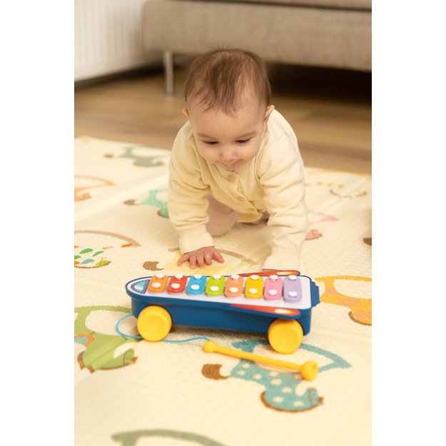 EDUCATIONAL TOY - RAINBOW CYMBALS