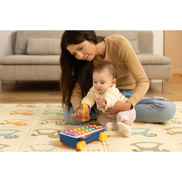 EDUCATIONAL TOY - RAINBOW CYMBALS