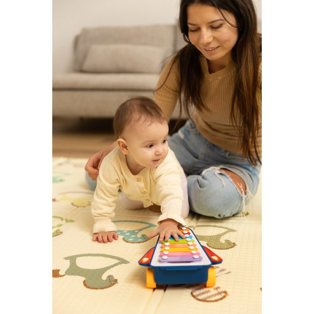 EDUCATIONAL TOY - RAINBOW CYMBALS