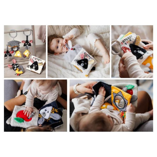 1679 CONTRASTING BOOK MOUSE 7