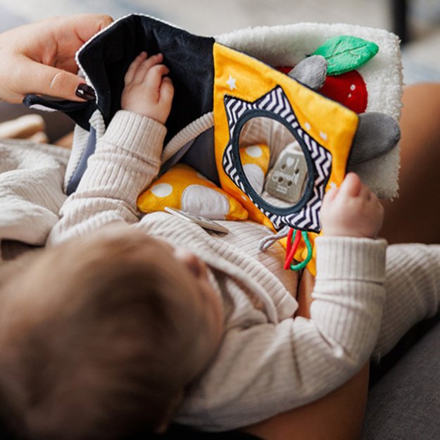 1679 CONTRASTING BOOK MOUSE 6