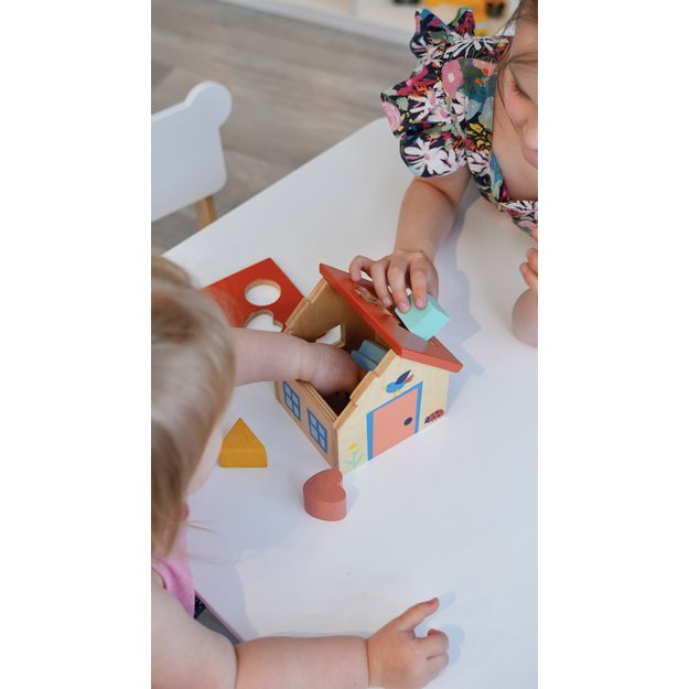 Mentari Formelių rūšiuoklis, Namelis 8