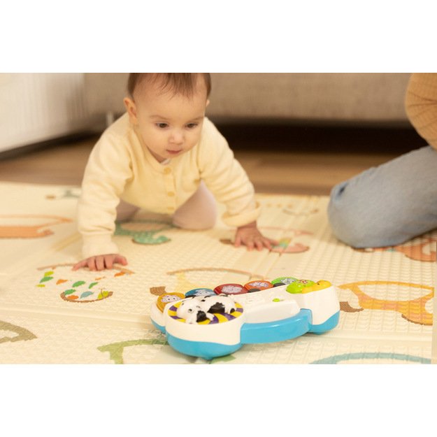 EDUCATIONAL TOY - FARM PIANO