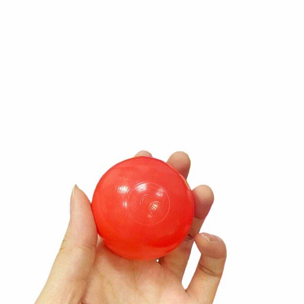 Vaikų batutas sodo kamuolio tinklas krep&scaron;inio kamuolys 155cm raudonas 7