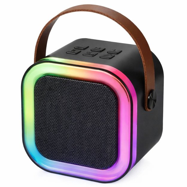 Karaoke Set Speaker Two Microphones LED Lights Black