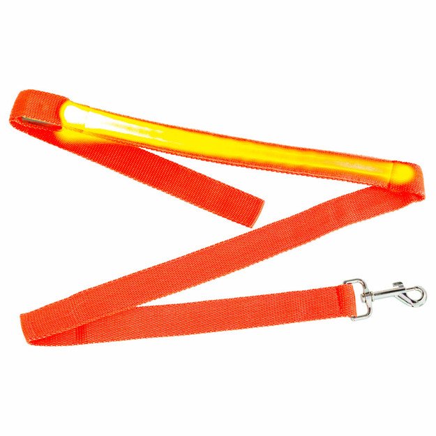 LED šviečiantis šunų pavadėlis 2.5x120cm oranžinės spalvos