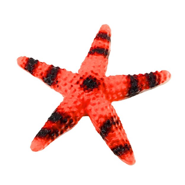 Set of Figures Sea Animals Crab Starfish Squid Ammonite 5pcs. 2