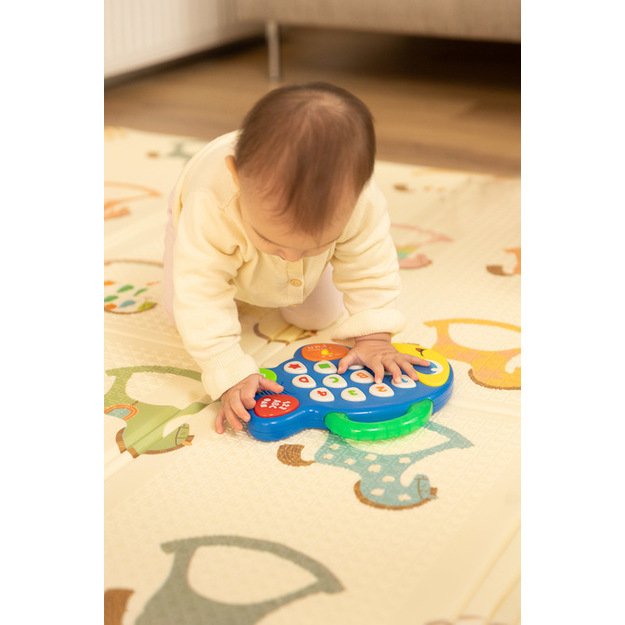 EDUCATIONAL TOY - MUSICAL FISH