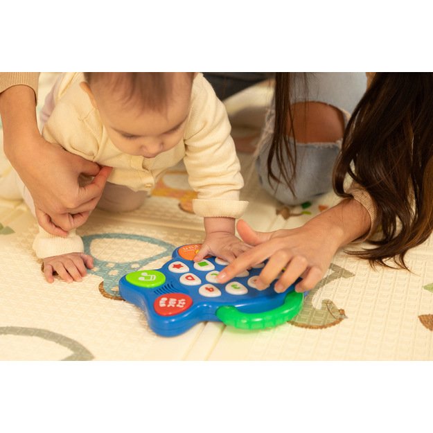 EDUCATIONAL TOY - MUSICAL FISH