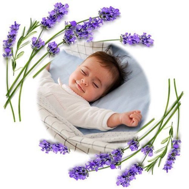 796/02 HOT WATER BOTTLE WITH CHERRY SEEDS GRAY