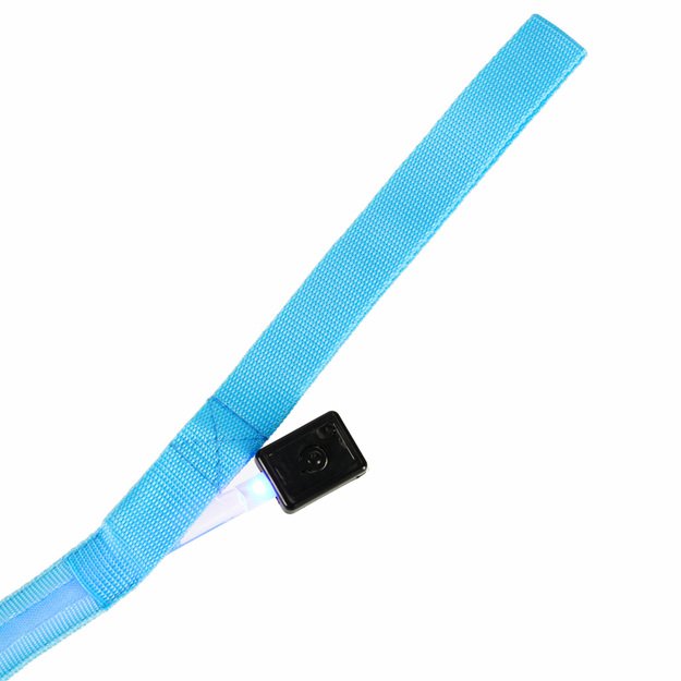 LED šviečiantis šunų pavadėlis 2.5x120cm mėlynos spalvos