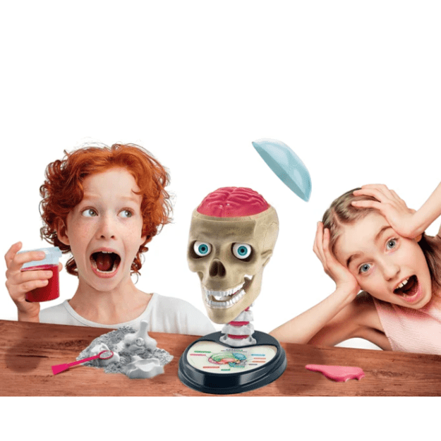 Scientific Fun Crazy Anatomy Kit Clementoni 50697 3