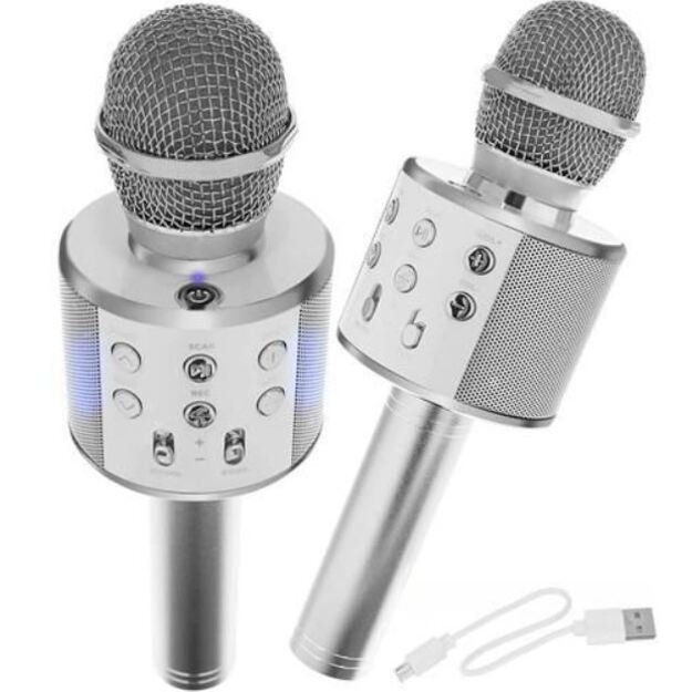 Karaokė mikrofonas - kolonėlė su balso keitimo efektais (sidabrinis/3280)