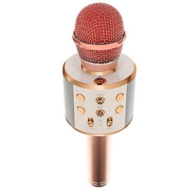 Karaokė mikrofonas - kolonėlė su balso keitimo efektais (rausvas)