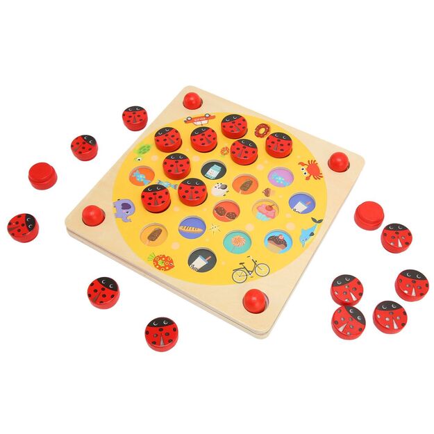 Lavinamasis Montessori atminties žaidimas - Boružėlės