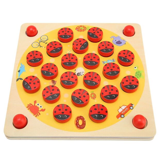 Lavinamasis Montessori atminties žaidimas - Boružėlės