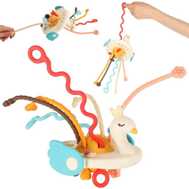 Montessori sensory anti-stress toy chewer Swan
