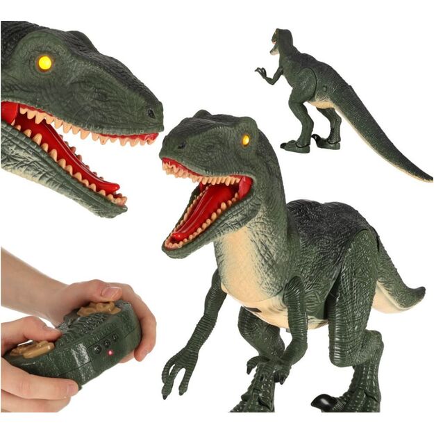 Walking dinosaur with remote control 4891